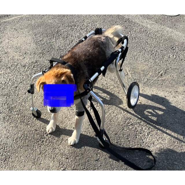 値下げ 4輪の犬の車椅子 K9カート スタンダード XS 猫 5kg未満 用 犬