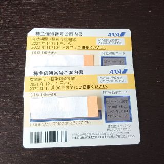 エーエヌエー(ゼンニッポンクウユ)(ANA(全日本空輸))のANA 株主優待券(その他)