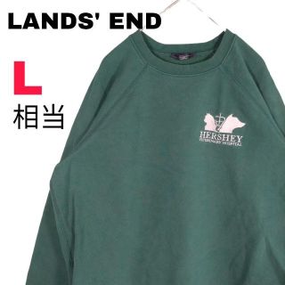 ランズエンド(LANDS’END)の78a ランズエンド スウェット トレーナー裏起毛 企業ロゴ刺繍 病院 ラグラン(スウェット)