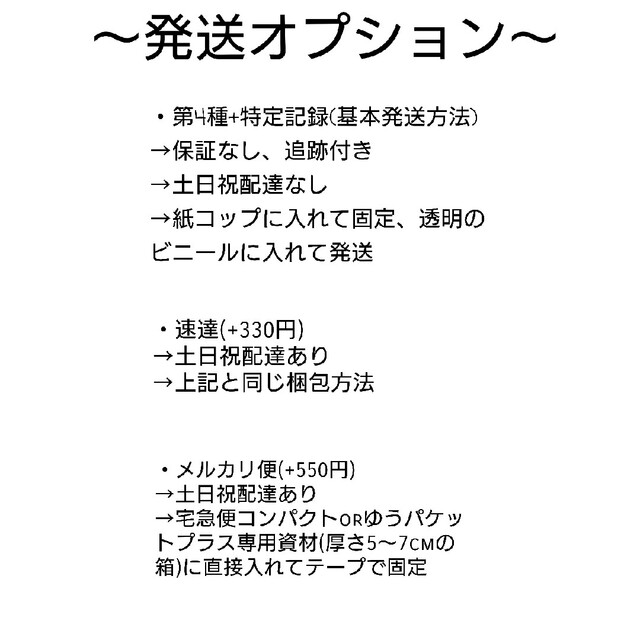 ストロベリーキャンディー ( いちご飴 ) ① 葉挿し 発根済み！ 多肉植物