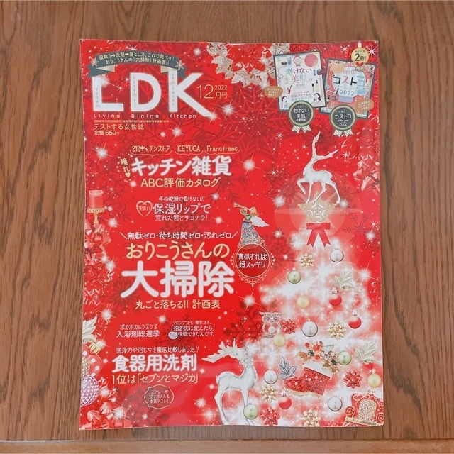 LDK (エル・ディー・ケー) 2022年 12月号 エンタメ/ホビーの雑誌(生活/健康)の商品写真