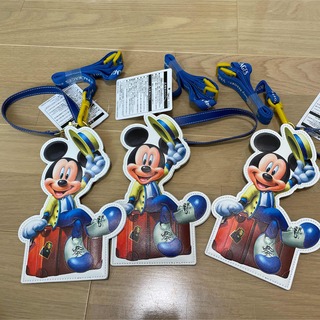 ディズニー(Disney)のチケットホルダー　バケーションパッケージ　東京ディズニーリゾート　ミッキーマウス(遊園地/テーマパーク)