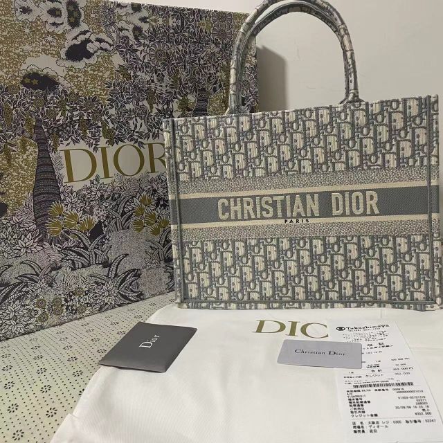 クリスチャン ディオール ブックトート 人気希少カラー duniasapi.com