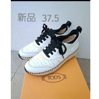 トッズ(TOD'S)のTOD'S レザースニーカー(スニーカー)