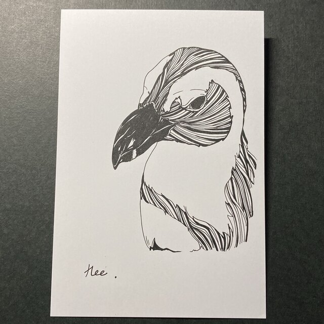 ボールペン画 ペンギンの通販 by 8/20ポストカード2枚250円引｜ラクマ