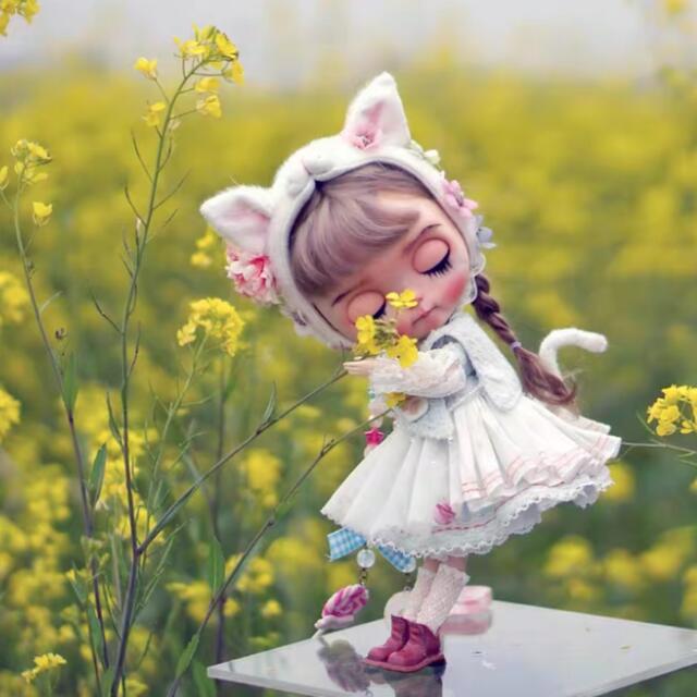 ブライス 人形 お洋服 アウトフィット 海外作家製 六月猫 ハンドメイドのぬいぐるみ/人形(人形)の商品写真
