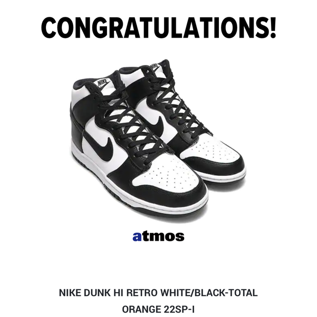 NIKE DUNK HI RETRO WHITE/BLACK チャンピオン