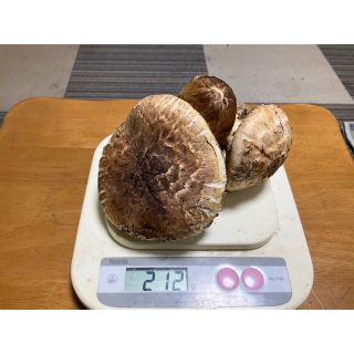 松茸　coco様専用(野菜)