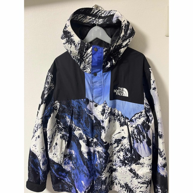 Supreme The North Face Mountain Parka 雪山