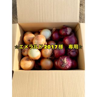 北海道産　玉ねぎ・赤玉ねぎ　訳あり品　20kg(野菜)