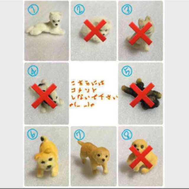 再入荷✩ 可愛い動物達の里親募集中✧٩(ˊωˋ*)و✧ エンタメ/ホビーのおもちゃ/ぬいぐるみ(その他)の商品写真