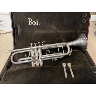 トランペットBach バック Stradivarius model 37(トランペット)