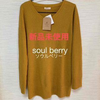 ソルベリー(Solberry)のsoul berryニットLLsizeソウルベリー(ニット/セーター)