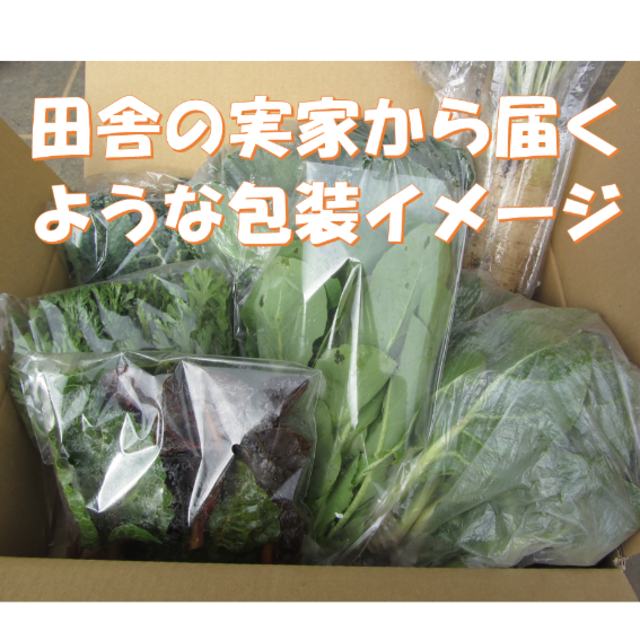 秋を感じる野菜セット　秋野菜詰め合わせ　８０サイズ　１１月６日以降の発送 食品/飲料/酒の食品(野菜)の商品写真