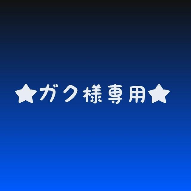 矢沢永吉ステッカー★ガク様専用★ エンタメ/ホビーのDVD/ブルーレイ(ミュージック)の商品写真