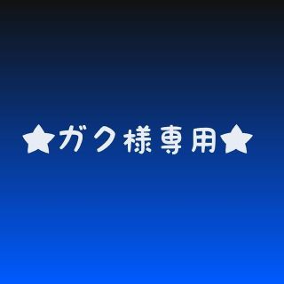 矢沢永吉ステッカー★ガク様専用★(ミュージック)