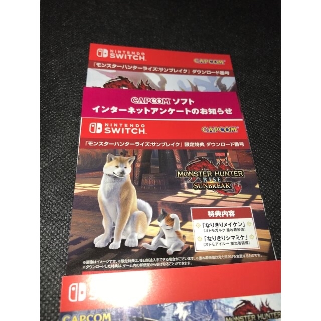 モンスターハンターライズ＋サンブレイク セット　特典付き Switch