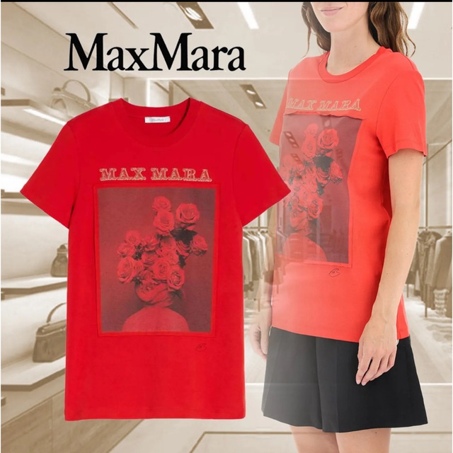 Tシャツ(半袖/袖なし)MAXMARA Tシャツ
