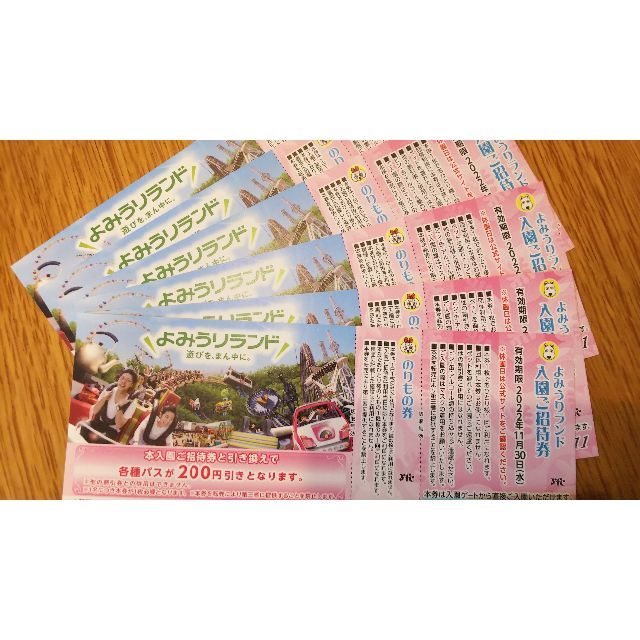 よみうりランド入園ご招待券 チケットの施設利用券(遊園地/テーマパーク)の商品写真