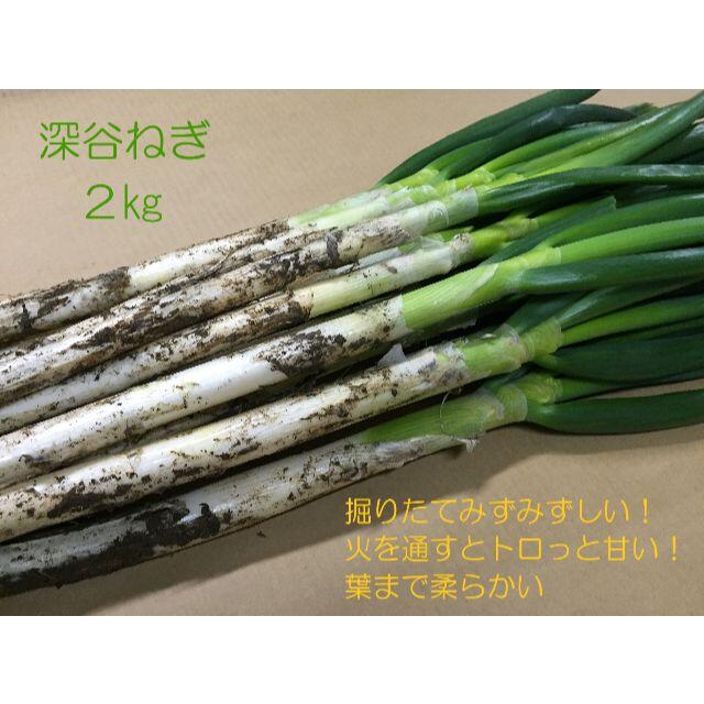 掘りたて瑞々しい深谷ねぎ 2kg 特別栽培 農家直送 食品/飲料/酒の食品(野菜)の商品写真