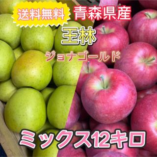 青森県産　王林　ジョナゴールド　ミックス　訳あり　りんご　12キロ　送料無料(フルーツ)