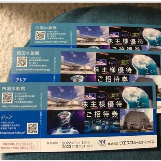 ウエスコホールディングス　株主優待　３枚(水族館)