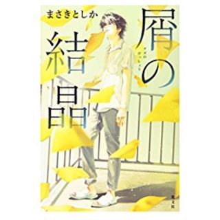 屑の結晶(文学/小説)