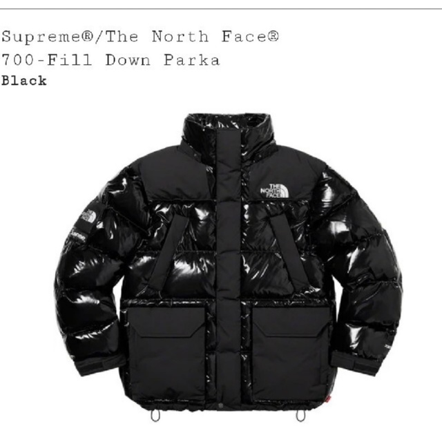 Supreme/The NORTH FACE/700-fill　ダウンパーカー