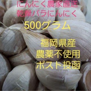 ニンニク500g(バラ)無農薬(野菜)