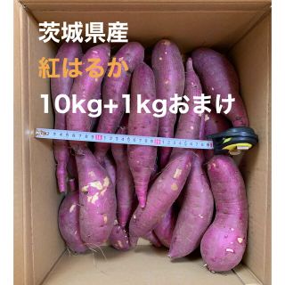 茨城県産　紅はるか　10kg +1kgおまけ(野菜)