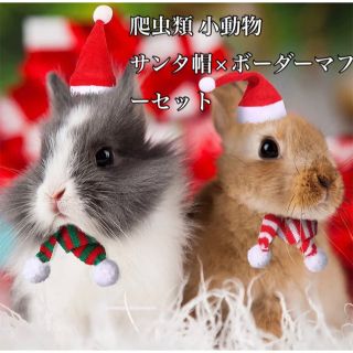 新品‪☆爬虫類 小動物 サンタ帽 ボーダーマフラー セット クリスマス コスプレ(爬虫類/両生類用品)