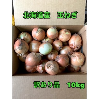 北海道産　玉ねぎ　訳あり品　10kg(野菜)