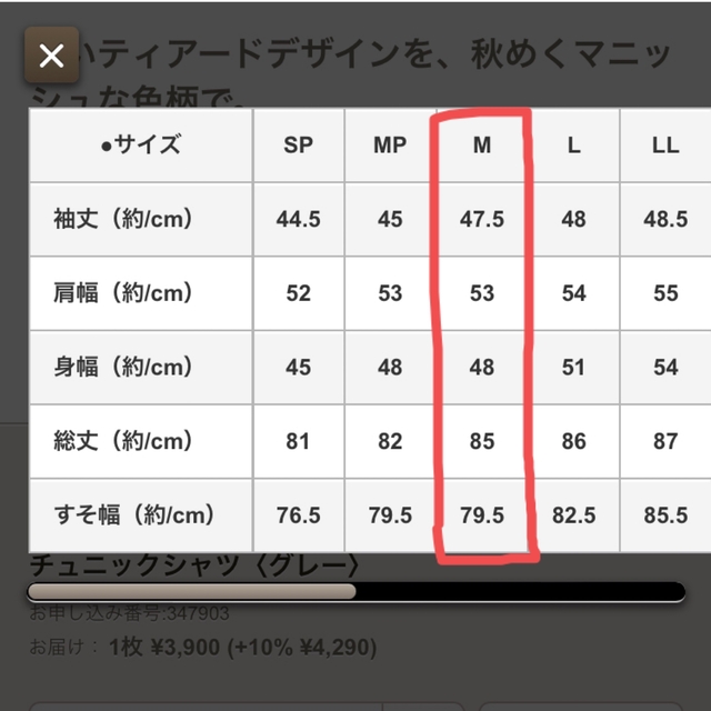 FELISSIMO(フェリシモ)のIEDIT チュニックシャツ レディースのトップス(チュニック)の商品写真