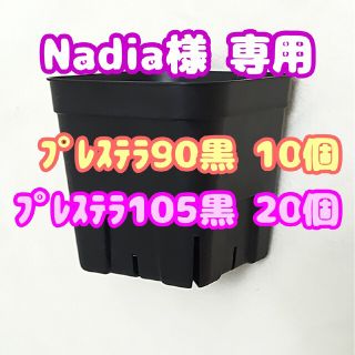 【スリット鉢】プレステラ105黒20個 他 多肉植物 プラ鉢(プランター)