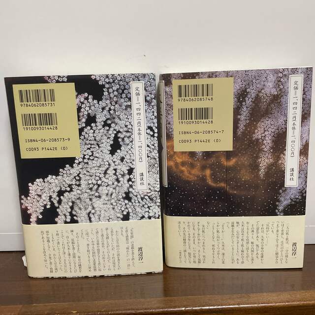 講談社(コウダンシャ)の失楽園　単行本上下セット エンタメ/ホビーの本(文学/小説)の商品写真