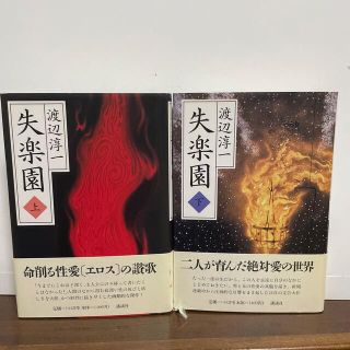 コウダンシャ(講談社)の失楽園　単行本上下セット(文学/小説)