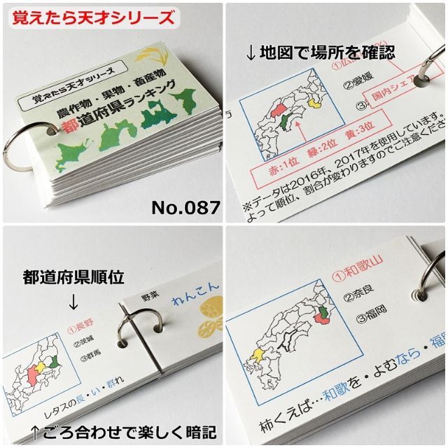 最も 【084】受験対策 社会 地理、歴史、公民 暗記カードセット 参考書