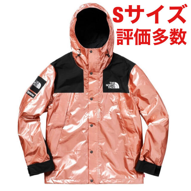 Supreme TNF Metallic Mountain Parka