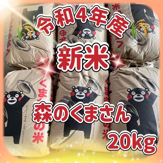 米/穀物　新米　森のくまさん　20kg　令和4年熊本県産