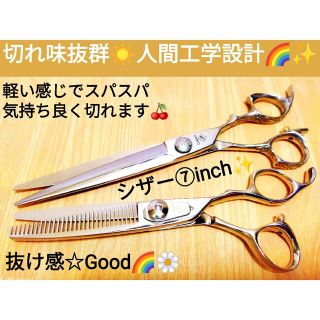 ビジネスバック 切れ味抜群カットシザーセニングシザー美容師プロ用