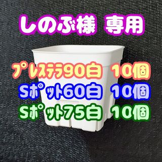 【スリット鉢】プレステラ90白10個 他 多肉植物 プラ鉢(プランター)