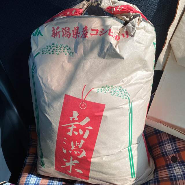 令和4年度収穫の新米 れんげ米 玄米30kg 京都府産 こだわり米 日本最大