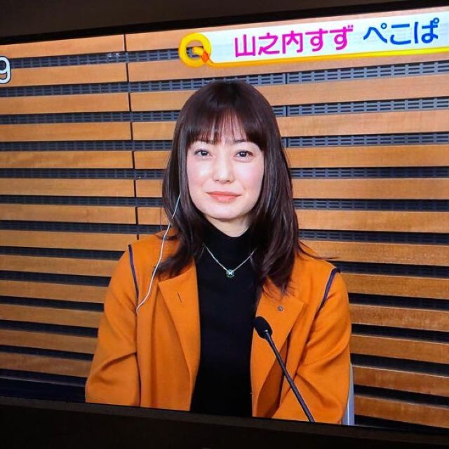 新品タグ付き✨ 菅野美穂さん着用 アンスリード インサイドアウト2WAY