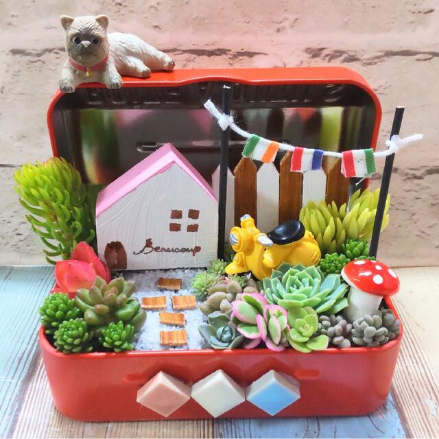 多肉植物の寄せ植え♡ナチュラルガーデン♡コレクションBOX♡そのまま飾れる