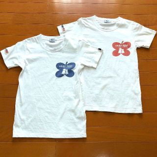 ラブラドールリトリーバー(Labrador Retriever)のSサイズ 半袖シャツ☆ラブラドールレトリーバー☆2枚セット(Tシャツ(半袖/袖なし))