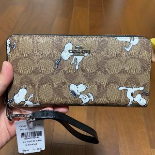 コーチ(COACH)の本体のみ　4596 コーチ　長財布　ブラウンシグネチャー×スヌーピーコラボ(財布)