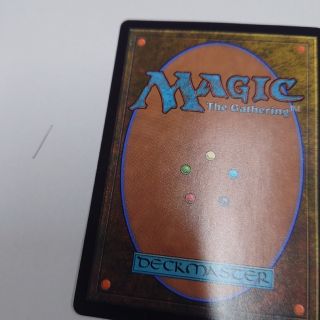 マジックザギャザリング(マジック：ザ・ギャザリング)のMTGカード裏面1(シングルカード)