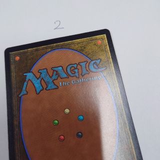 マジックザギャザリング(マジック：ザ・ギャザリング)のMTGカード裏面2(シングルカード)