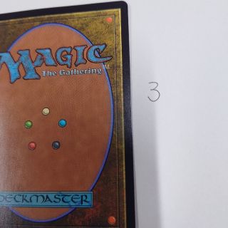 マジックザギャザリング(マジック：ザ・ギャザリング)のMTGカード裏面3(シングルカード)