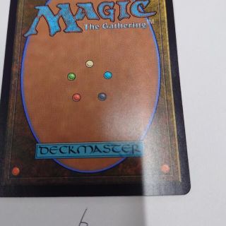 マジックザギャザリング(マジック：ザ・ギャザリング)のMTGカード裏面6(シングルカード)